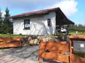 Ferienhaus mit Waldsauna am Kranichfeld Stuer